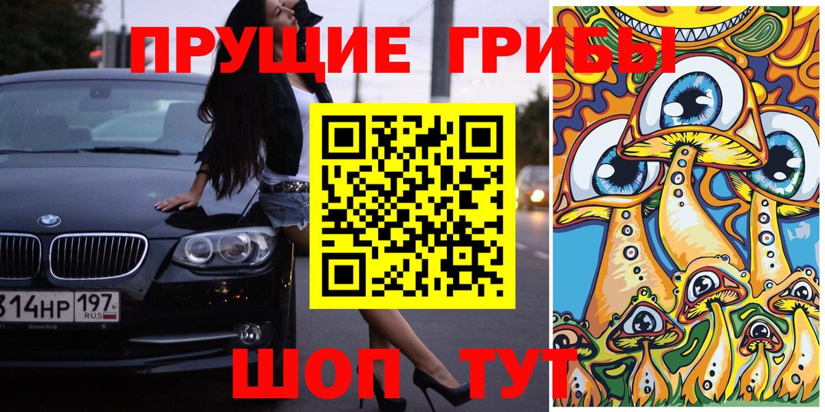 Галлюциногенные грибы GOLDEN TEACHER Тамбов