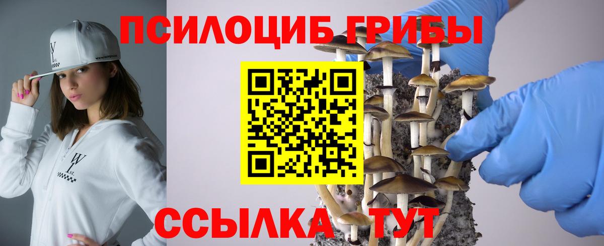 Галлюциногенные грибы Cubensis  Вход с VPN  магазин  наркотиков  Тамбов 